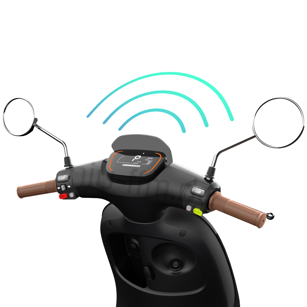 Segway Ninebot E125S Li-Io 45kmh/1000W/2x30Ah/140km WS E-Roller