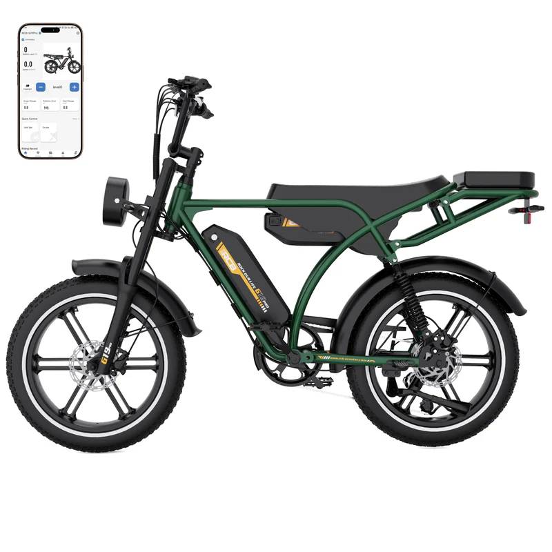 RCB ROCK OUR LIFE G19 Pro E-Bike GN 20" 1497,6Wh 120km Mopedbike