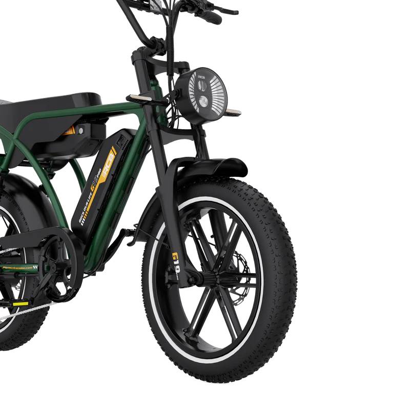 RCB ROCK OUR LIFE G19 Pro E-Bike GN 20" 1497,6Wh 120km Mopedbike