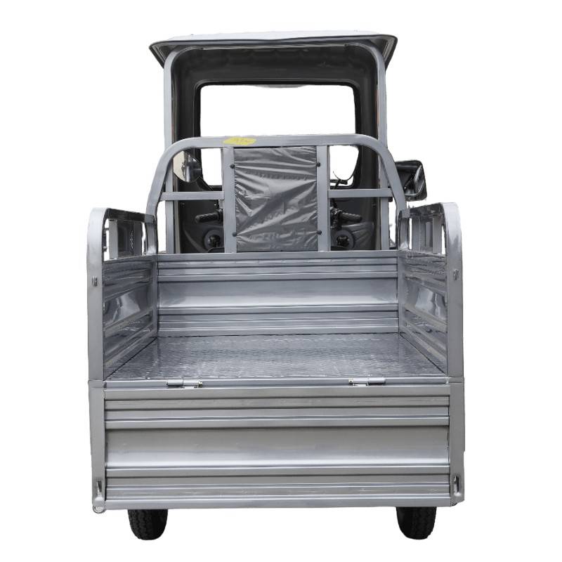 Futura Cargo Cruiser Blei 45kmh/1500W/65Ah GR E-Kabinenroller