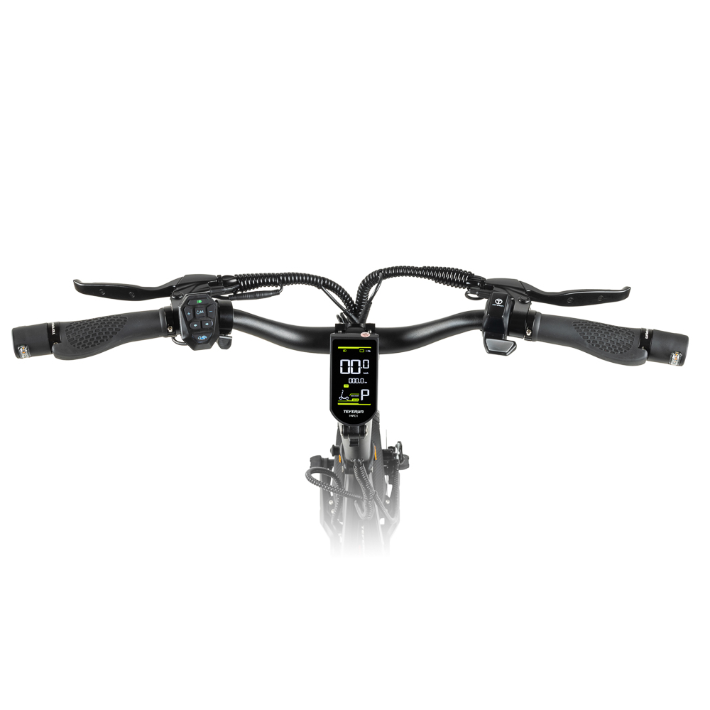 NEW Teverun Blade Mini Pro SW 2026 ABE 22kmh 60km 2600W E-Scooter