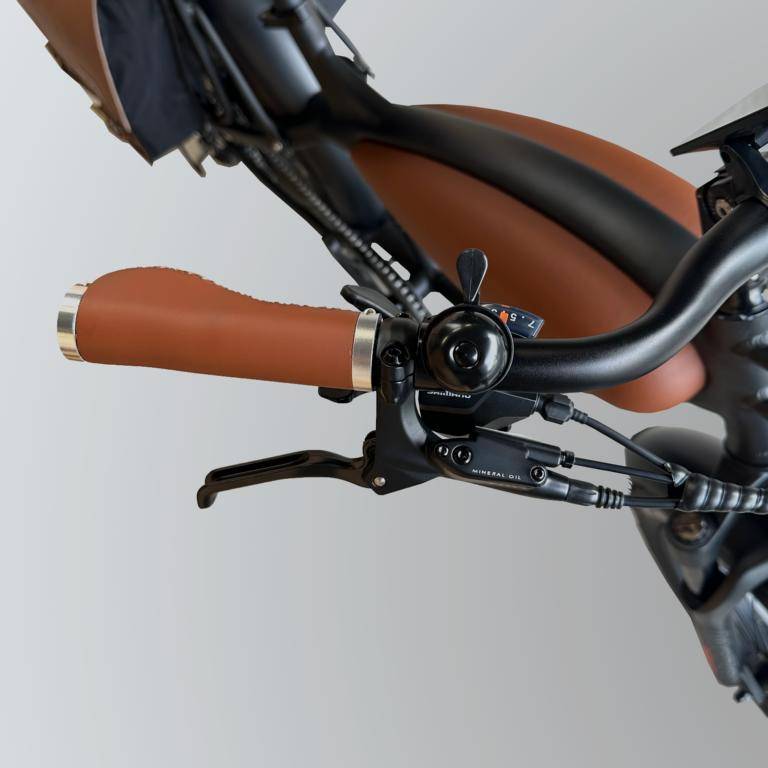 MC E-BIKE MID E-Coffeecruiser E-Bike BRW 20" 756Wh 80km Fatbike