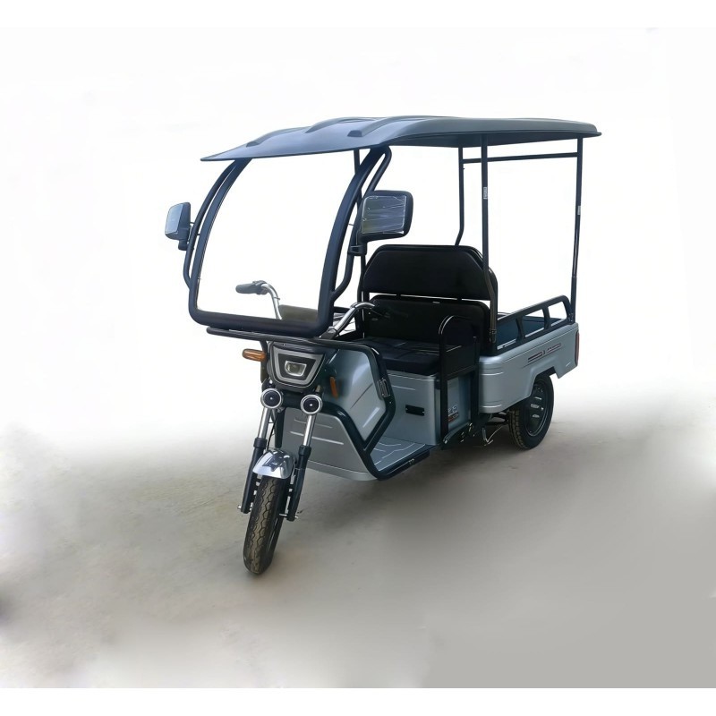 LIMA Rhino Li Dach Li-Io 25kmh/2540W/20Ah/60km GR E-Kabinenroller