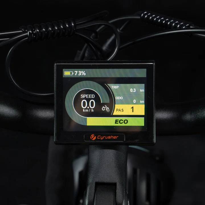 Cyrusher Kommoda 3.0 E-Bike LI 20" 48V/960Wh/150kg 110km Fatbike