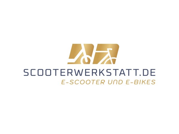 Futura Cargo Cruiser Dach LI 25|45kmh/1500W/60Ah E-Kabinenroller